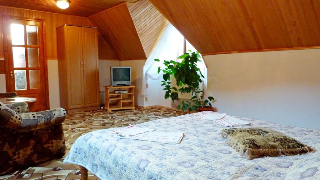 Sadyba Bilya Richky Jaremtsje Kamer foto